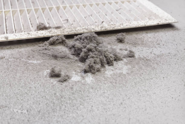 Best Best Air Duct Cleaning Company  in Pecan Acres, TX