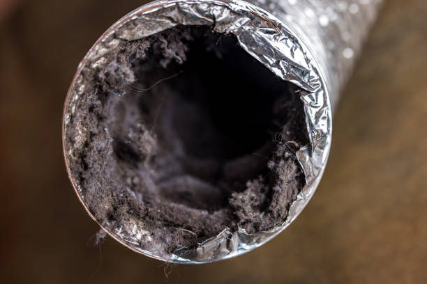 Best Emergency Air Duct Cleaning  in Pecan Acres, TX