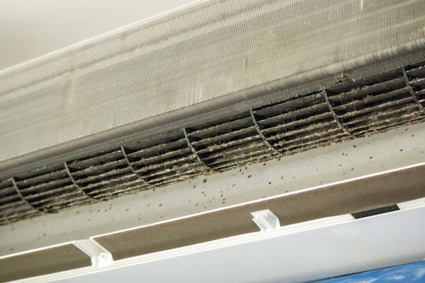 Best Ventilation Cleaning Services  in Pecan Acres, TX